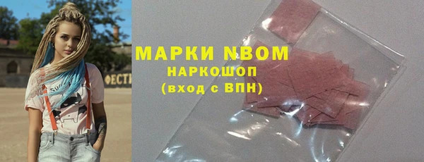 прущие грибы Горно-Алтайск