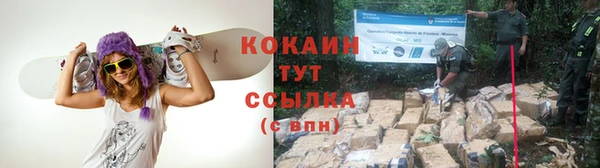 гашик Вязьма