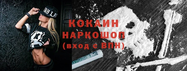гашик Краснослободск