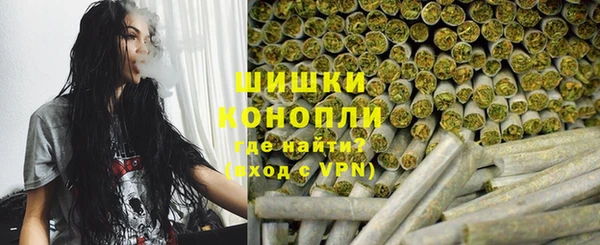 гашик Вязьма