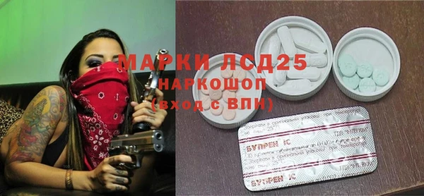 прущие грибы Горно-Алтайск