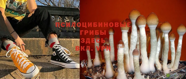 гашик Вязьма