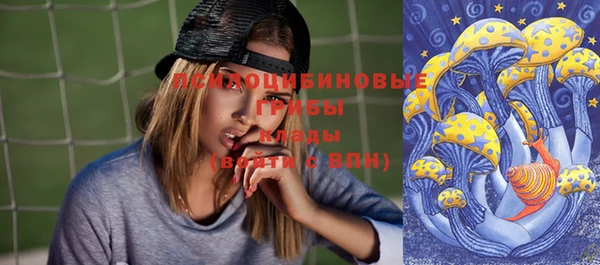 мдпв Горняк