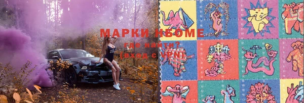 прущие грибы Горно-Алтайск